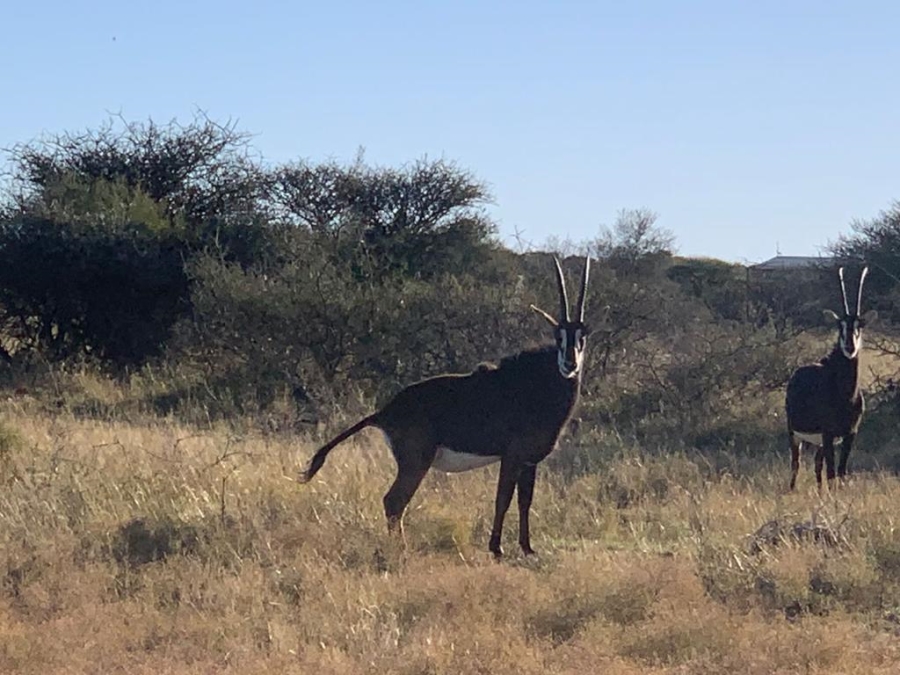 4 Bedroom Property for Sale in Kimberley Rural Northern Cape